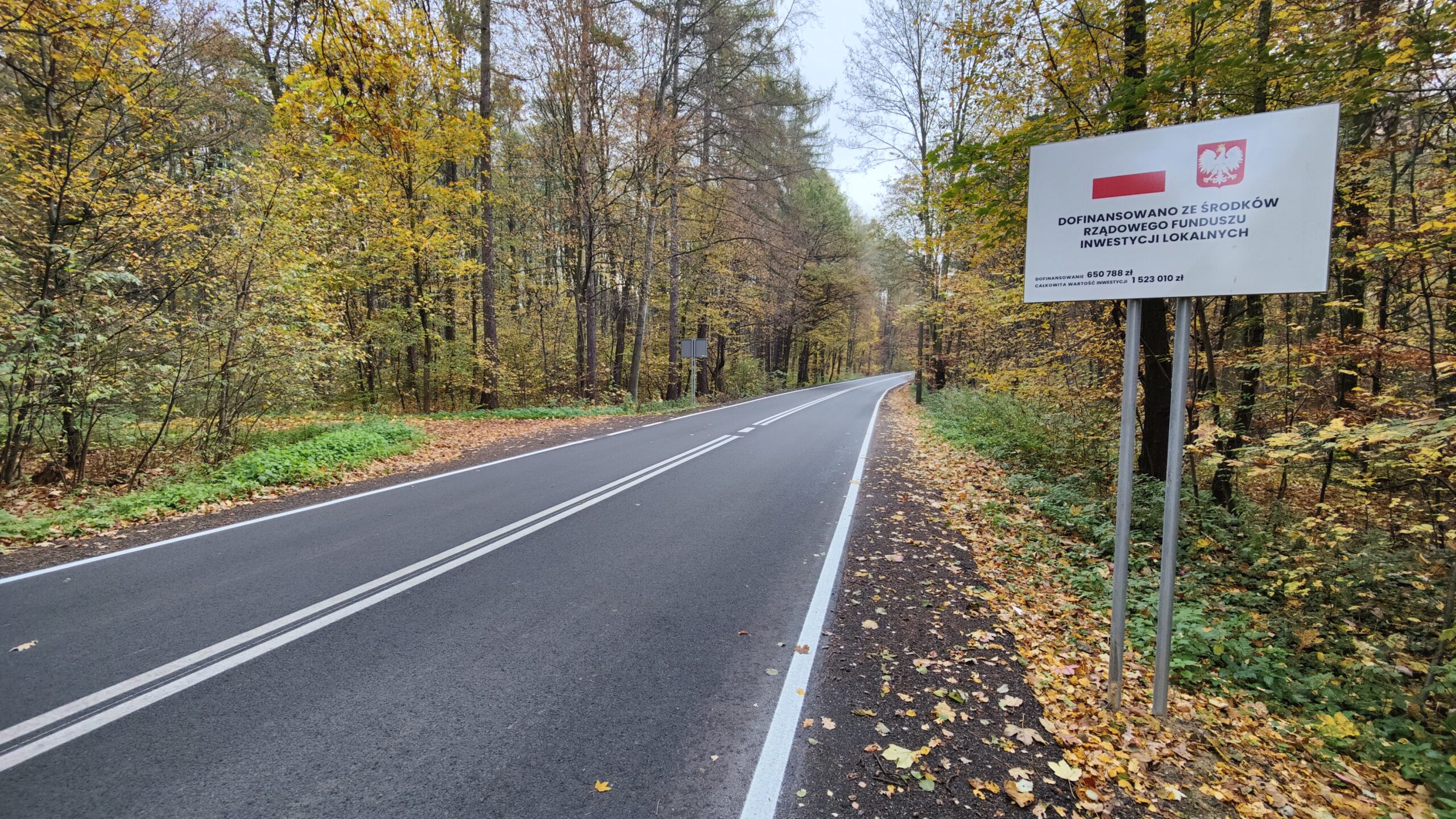 Droga asfaltowa przez las - ulica Grodzisko w Wodzisławiu Śląskim